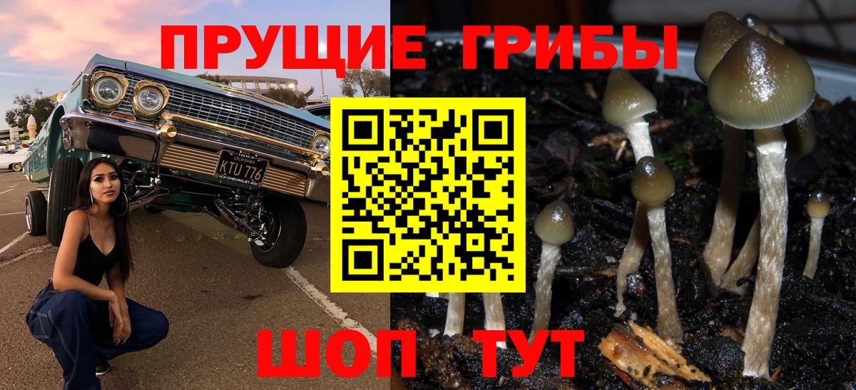Псилоцибиновые грибы ЛСД Выборг