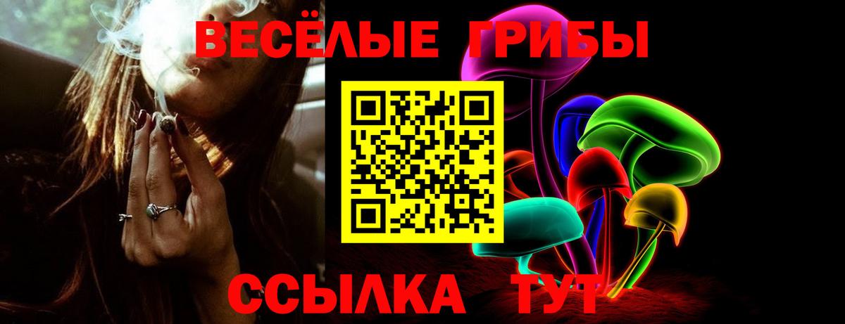 Выборг  Псилоцибиновые грибы GOLDEN TEACHER  Вход с VPN 